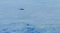 Enroute_B-2_Formation (1)